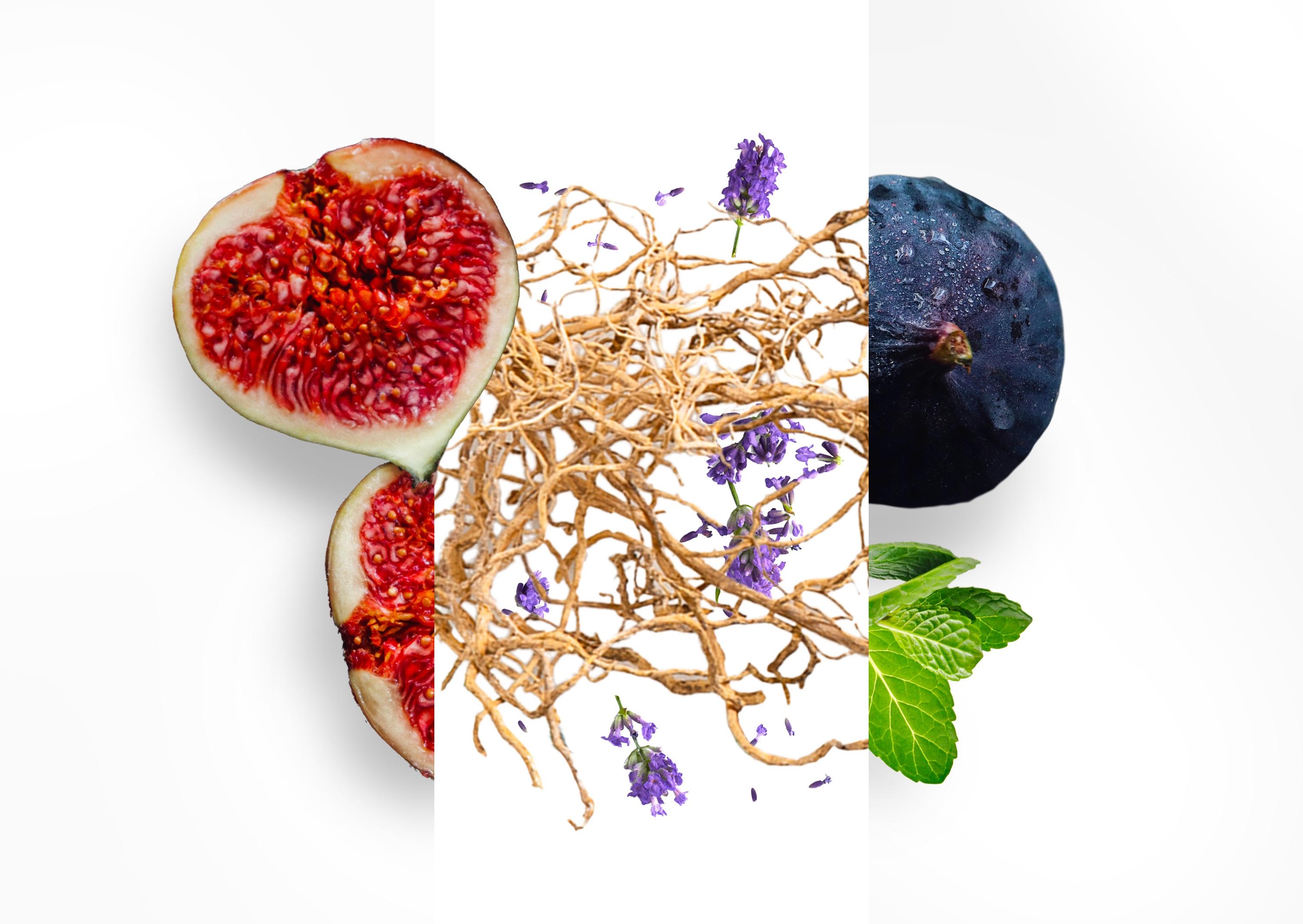 WhatsApp Image 2026-02-08 at 11.45.55 (1)